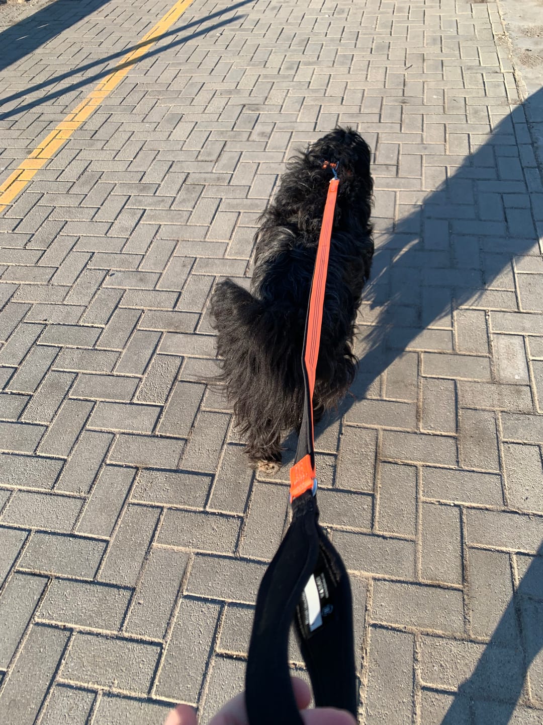 Customer photo review of 1.4m Active Light Lead - Orange