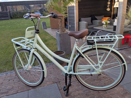 Customer photo review of E-Cargo N3
