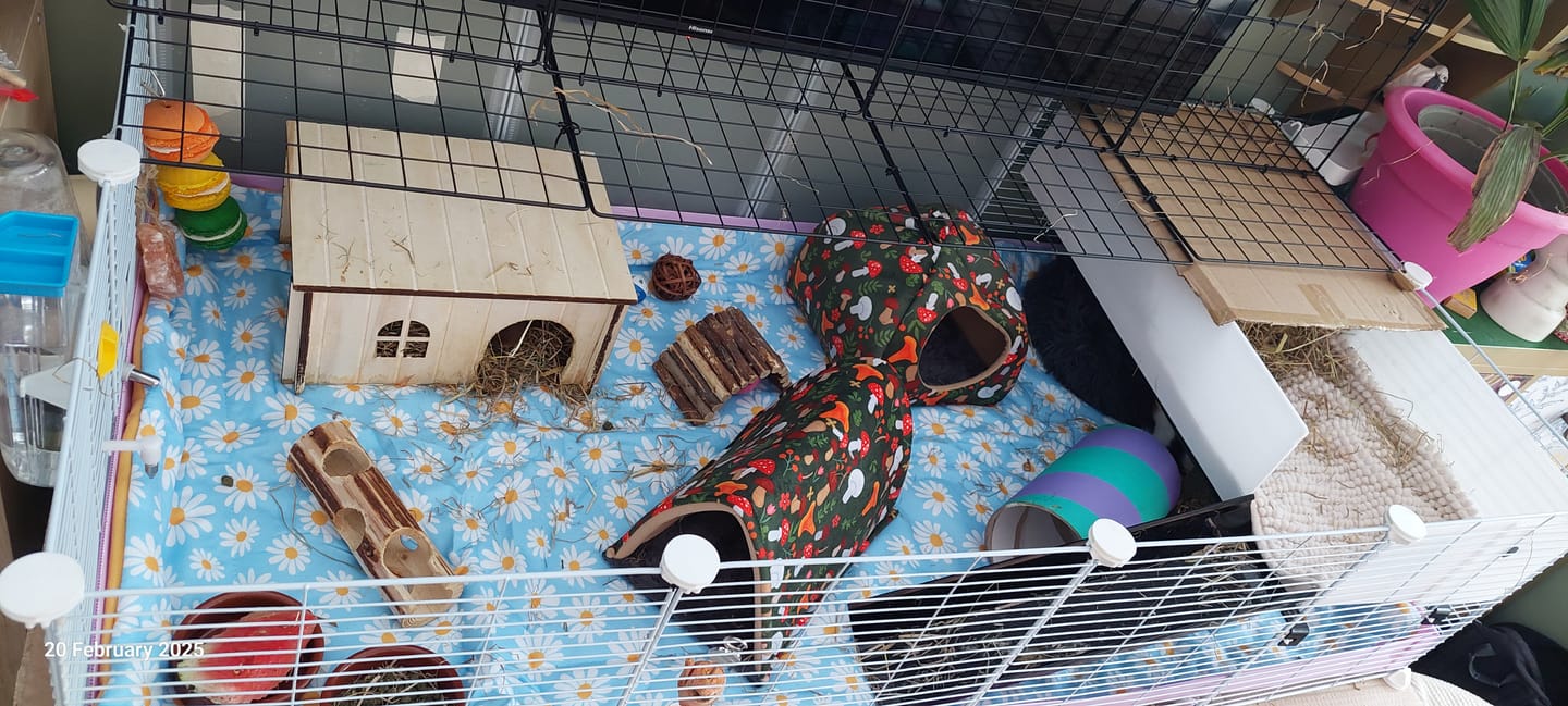 Customer photo review of Set of 2 Fleece Liners | Daisy
