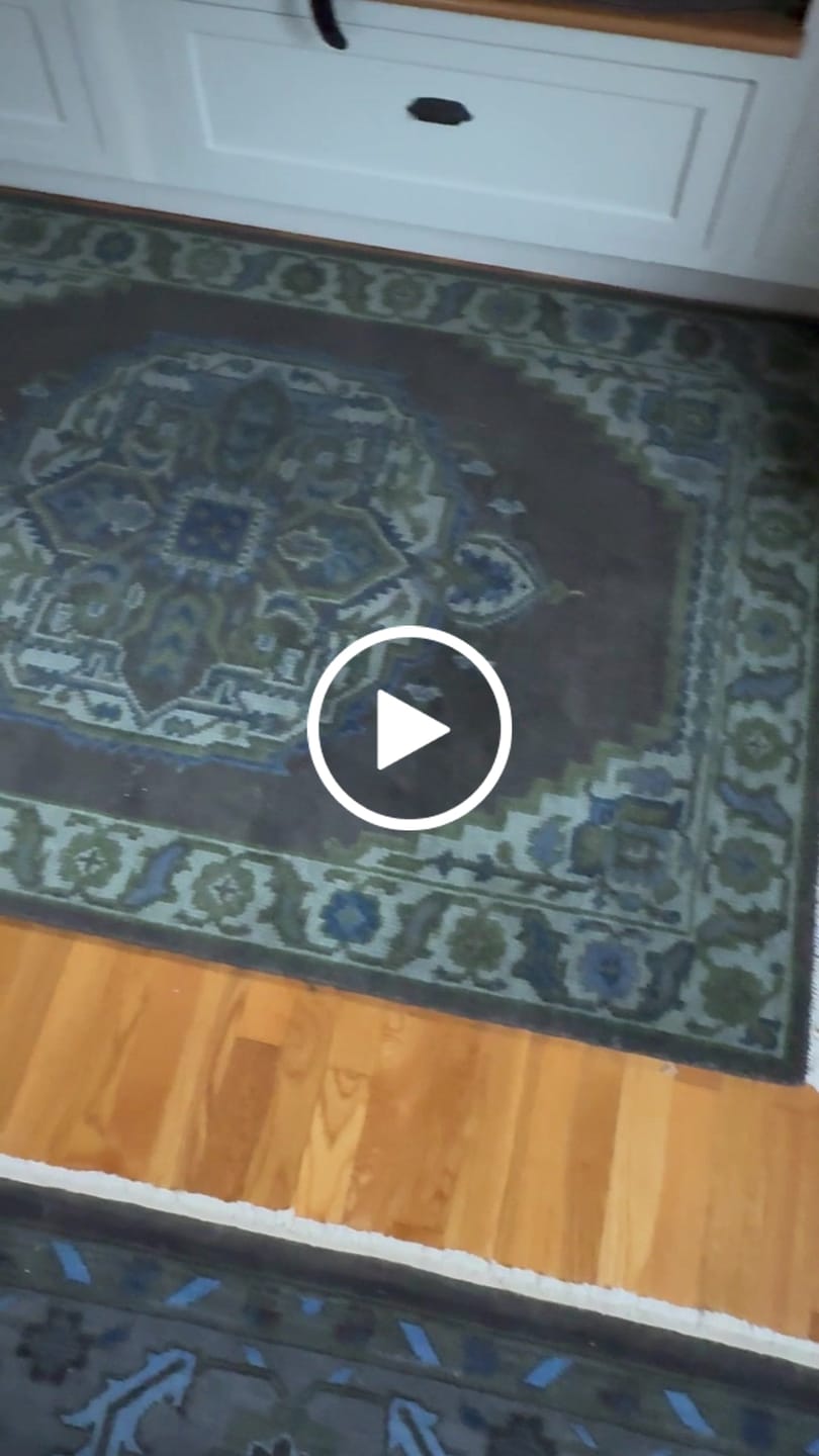 Customer video review of Charcoal, Gray, Green and Blue Neon look Traditional Heriz Medallion Multi Size wool Area Rug