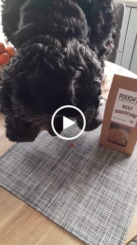 Customer video review of Poochs Handmade Dog Treats