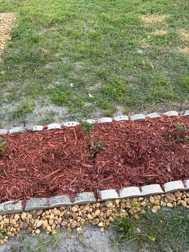 Customer photo review of Mulch