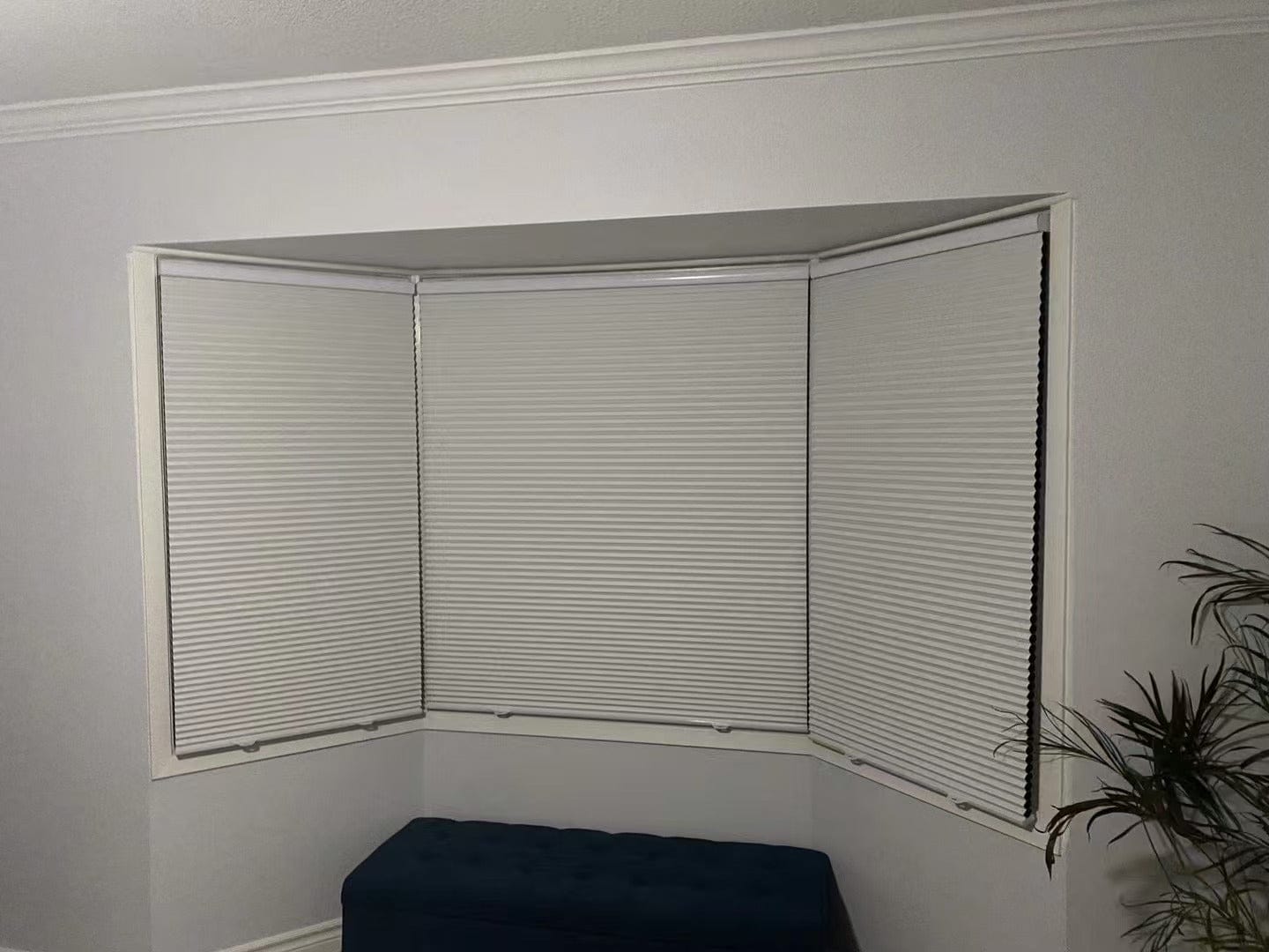 Customer photo review of Cordless Blackout Cellular Shades