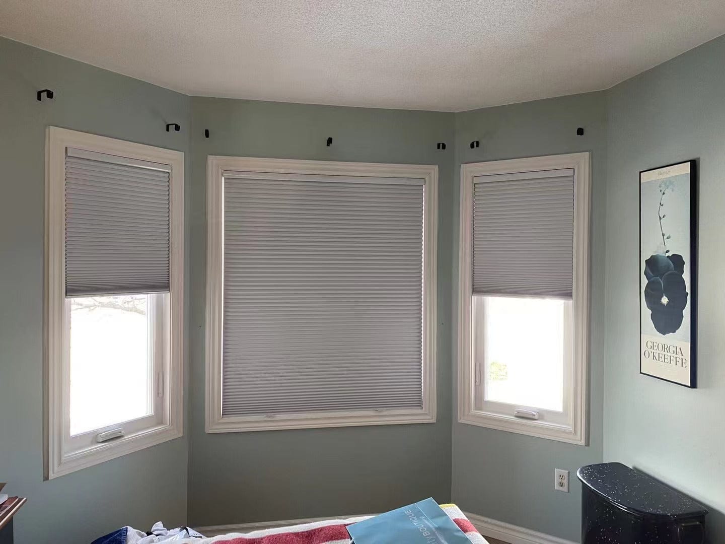 Customer photo review of Cordless Blackout Cellular Shades