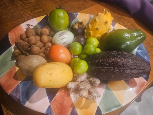 Customer photo review of Tropical Variety Box