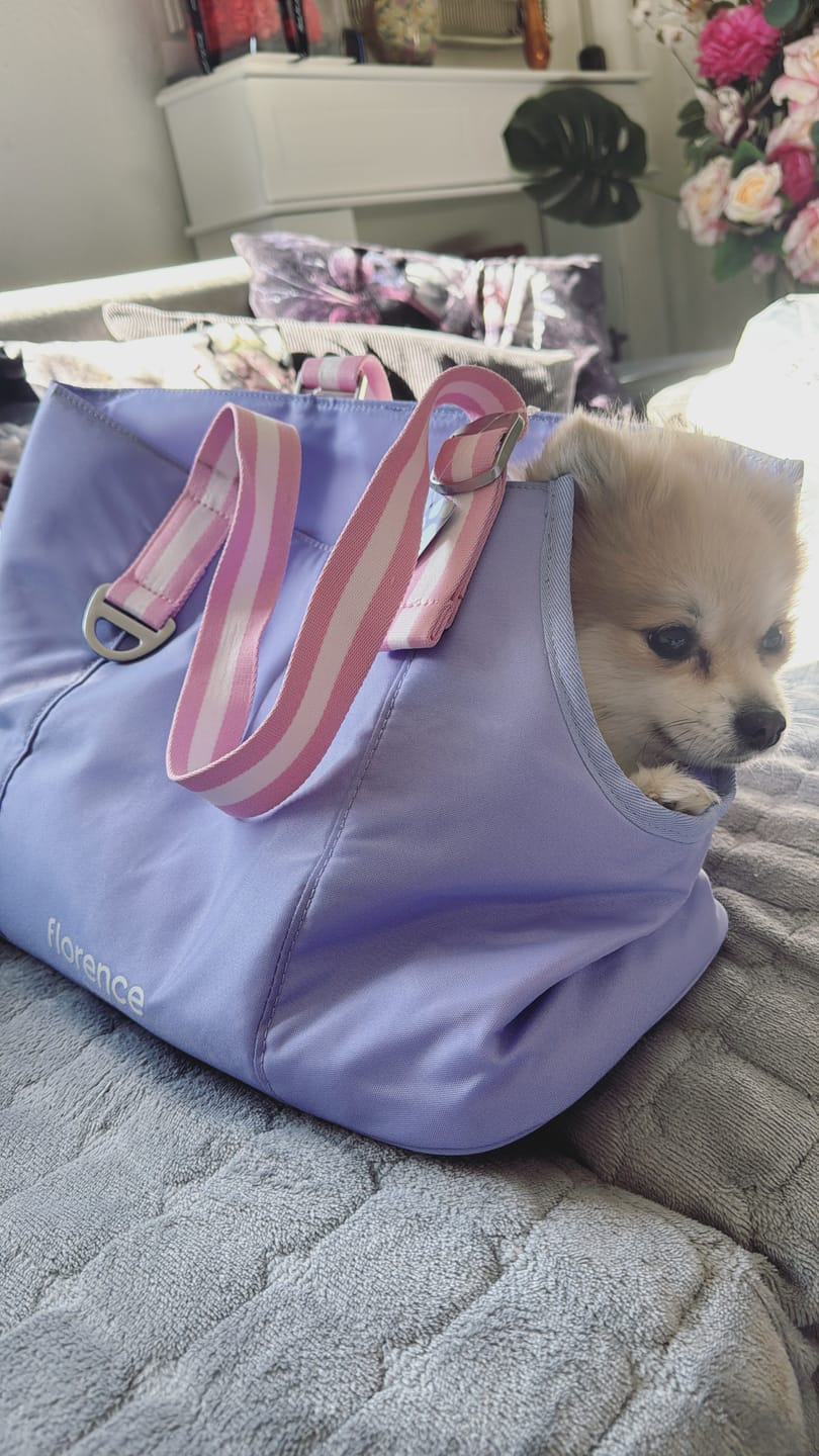 Customer photo review of florence by mills Pet Carrying Tote