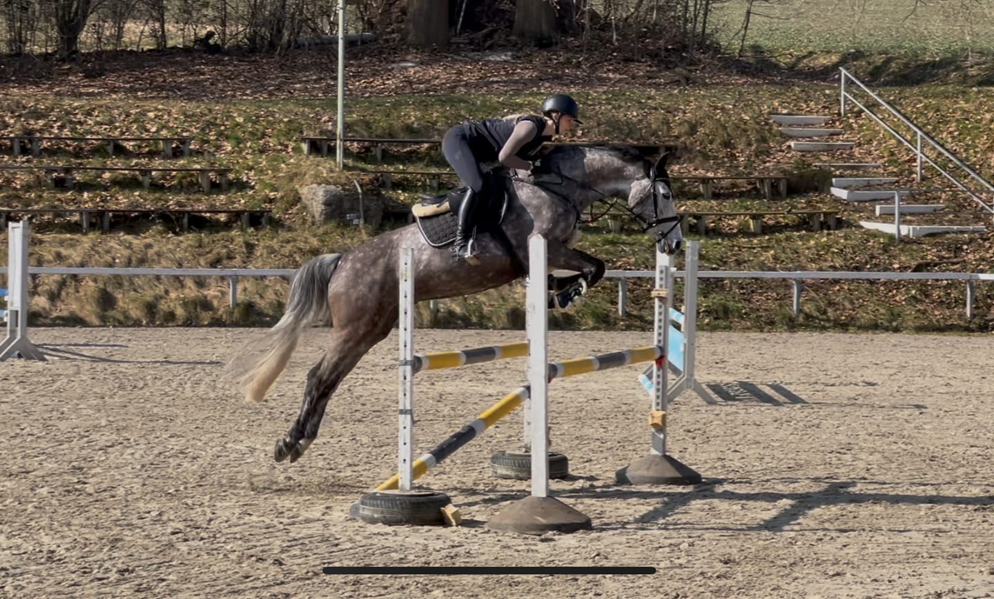 Customer photo review of MUSTAX Muskel+