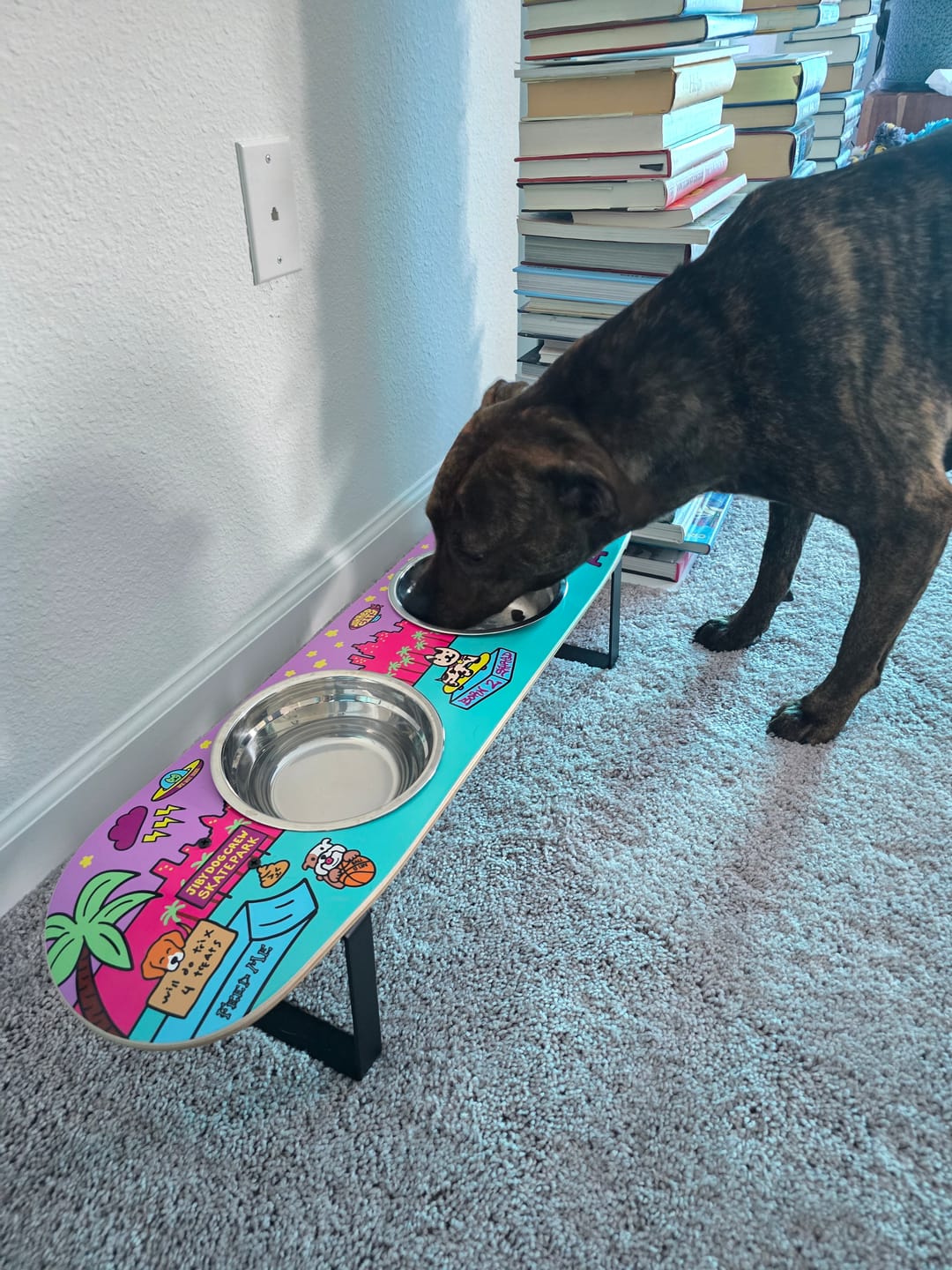 Customer photo review of Shred City Skateboard Dog Bowl