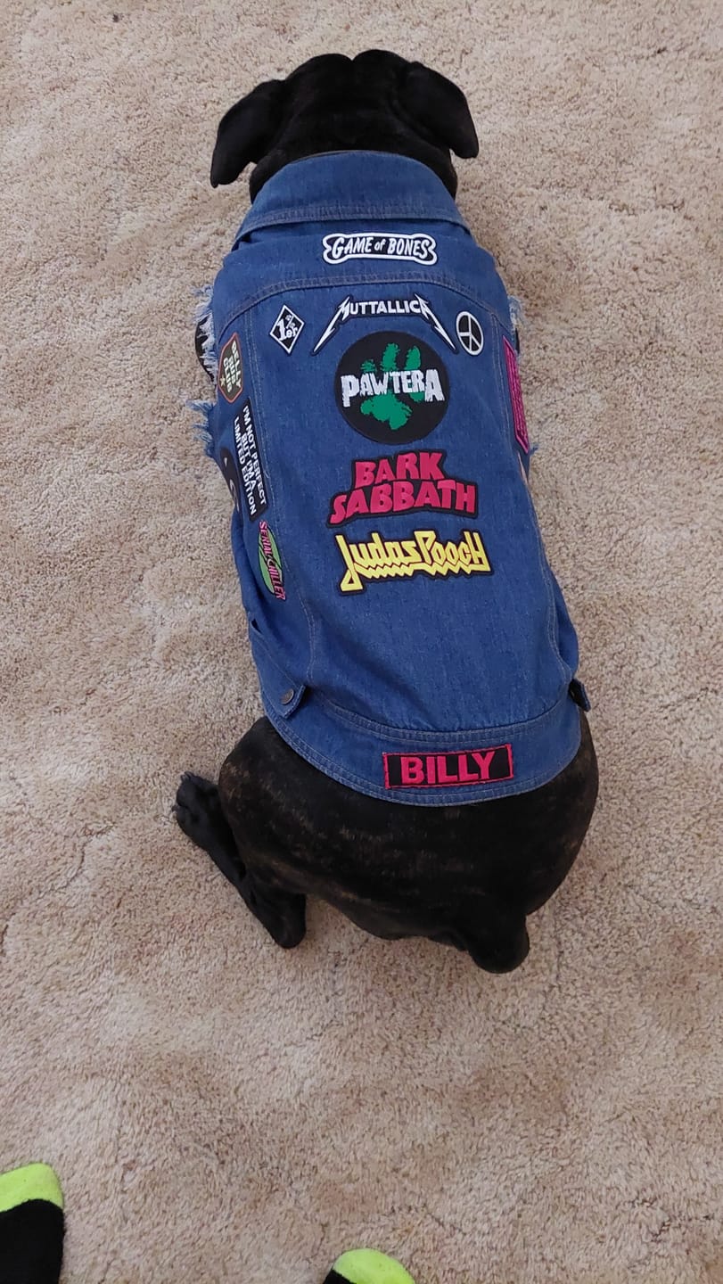 Customer photo review of Denim Dog Vest Raw Blue - Unpatched