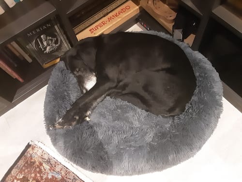 undefined review of Puppery Hundebett Wolke 7 - Das Original image 1 out of 1