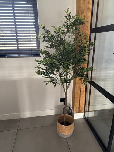 Customer photo review of Kunst Olijfboom 180cm