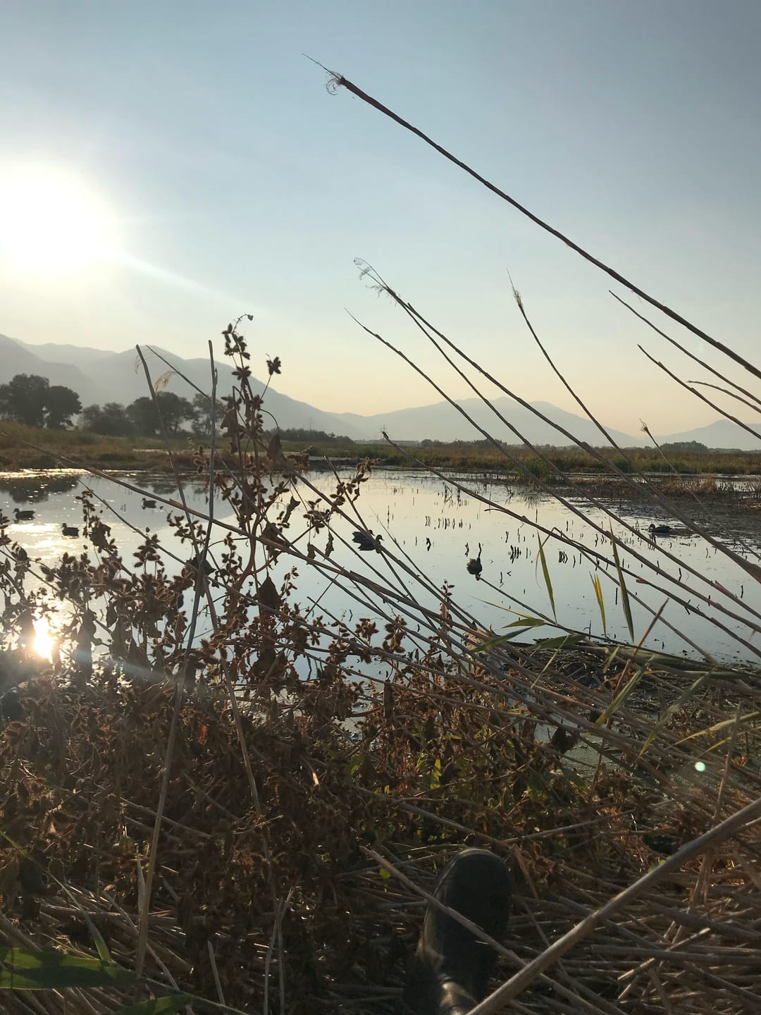 Customer photo review of AquaWade Duck Waterfowl Hunting Breathable Chest Waders