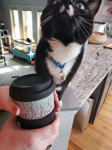 Customer photo review of Nebula Cup (Includes Lid & Band)