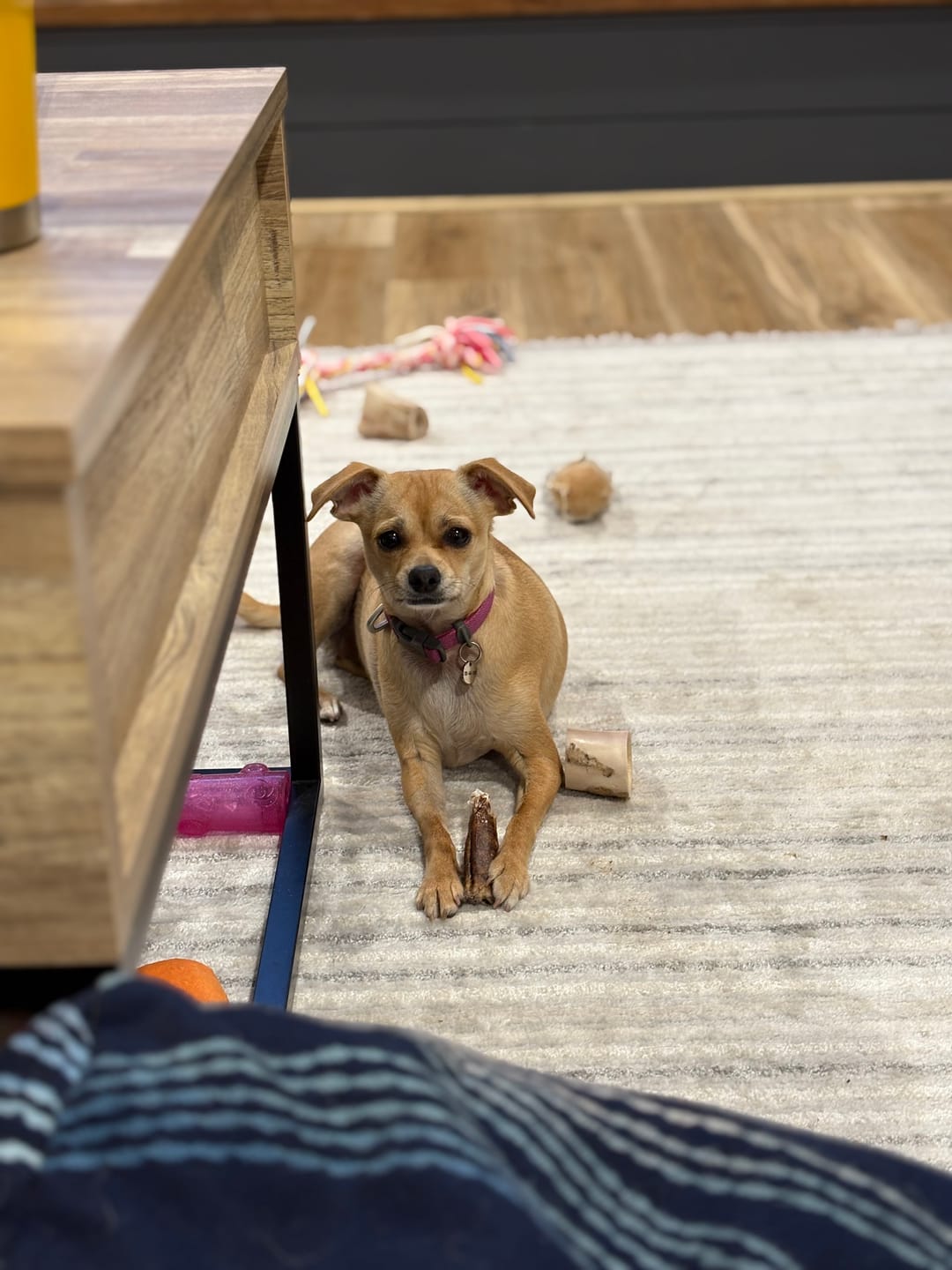 Customer photo review of Small Bully Stick Ring