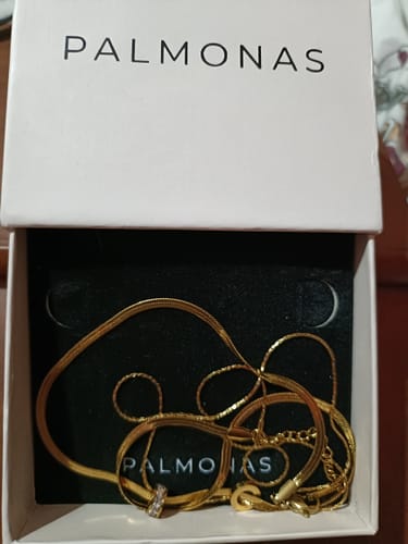 Customer photo review of Gilded Rings Layered Necklace
