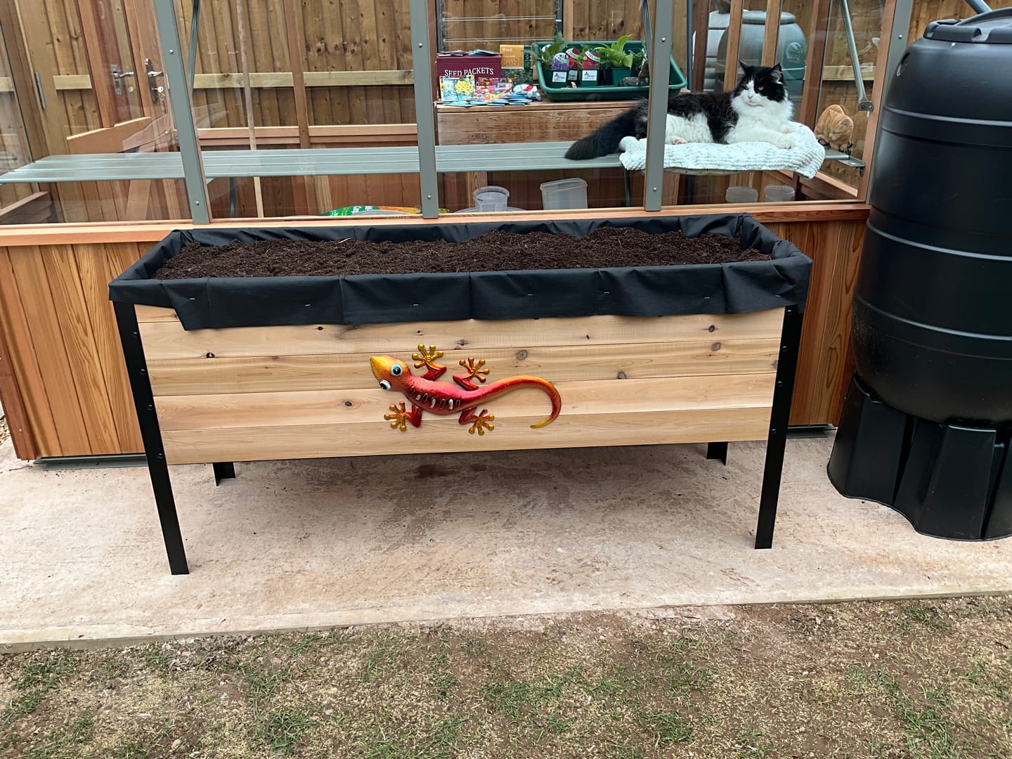 Customer photo review of Large Raised Garden Bed - 46cm x 153cm x 76cm