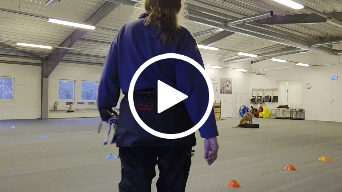 Customer video review of Utdragbar Flirtpole