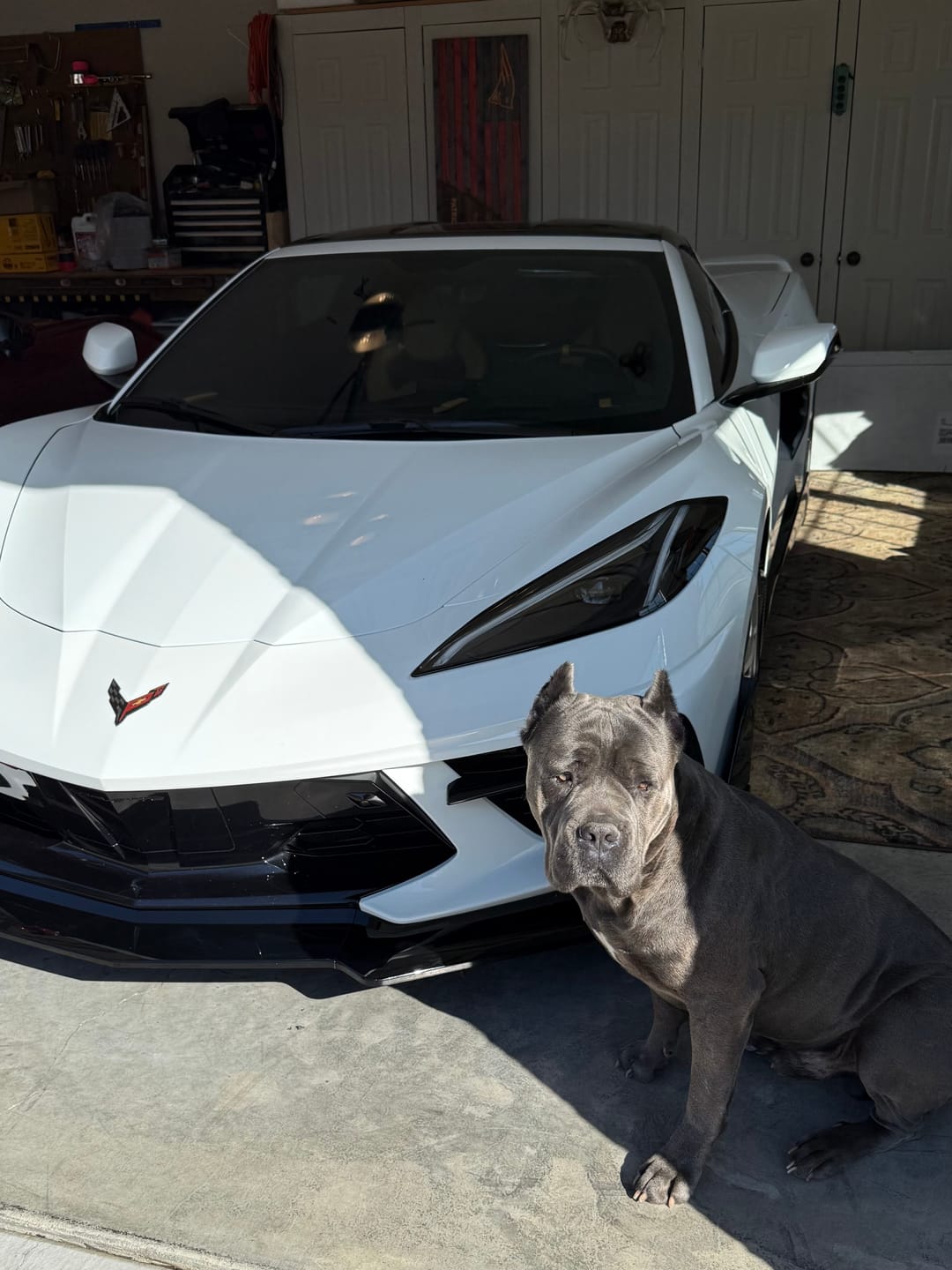 Customer photo review of Corvette C8 Track Edition Front Splitter