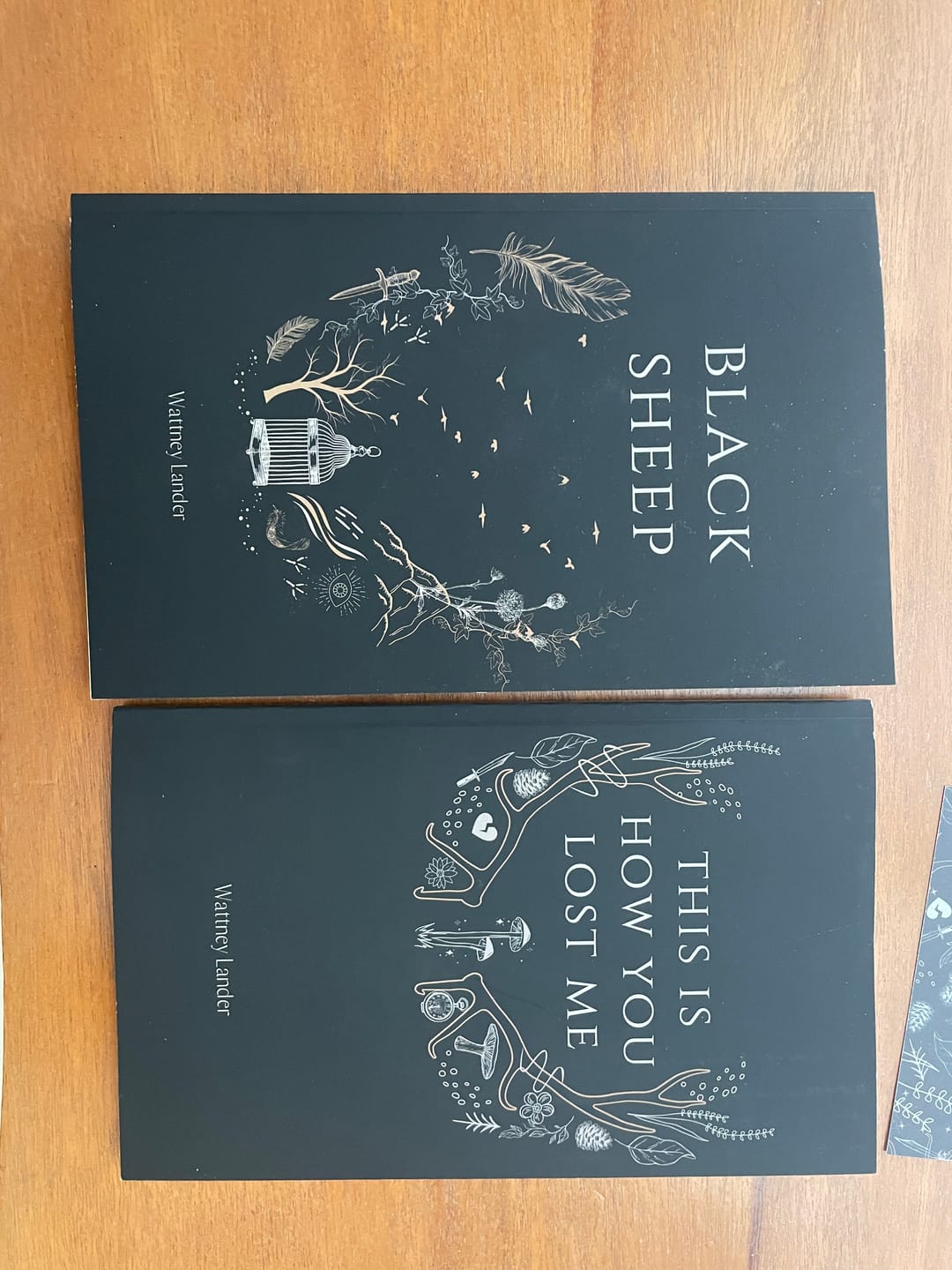 Customer photo review of Bruised Books (Damaged books)