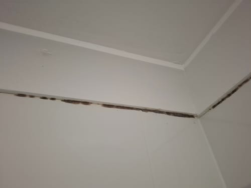 Customer photo review of GLASSGUARD® Miracle Mould Removal Gel