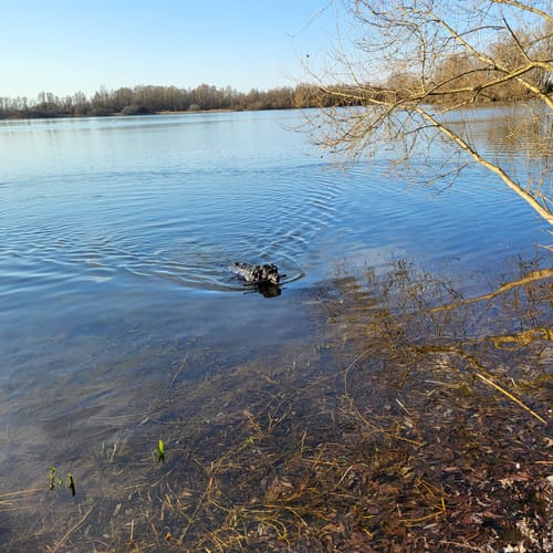 Customer photo review of Forever Young