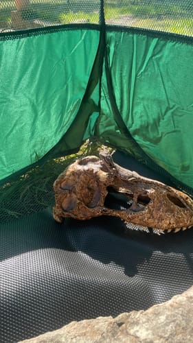 Customer photo review of PUC1000