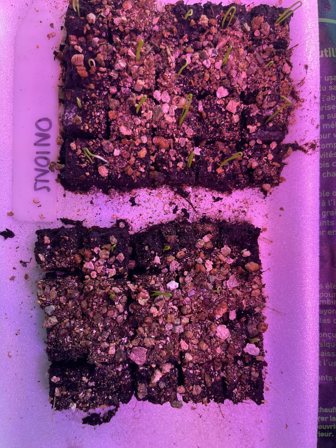 Customer photo review of Soil Block Maker Small 20 Cells