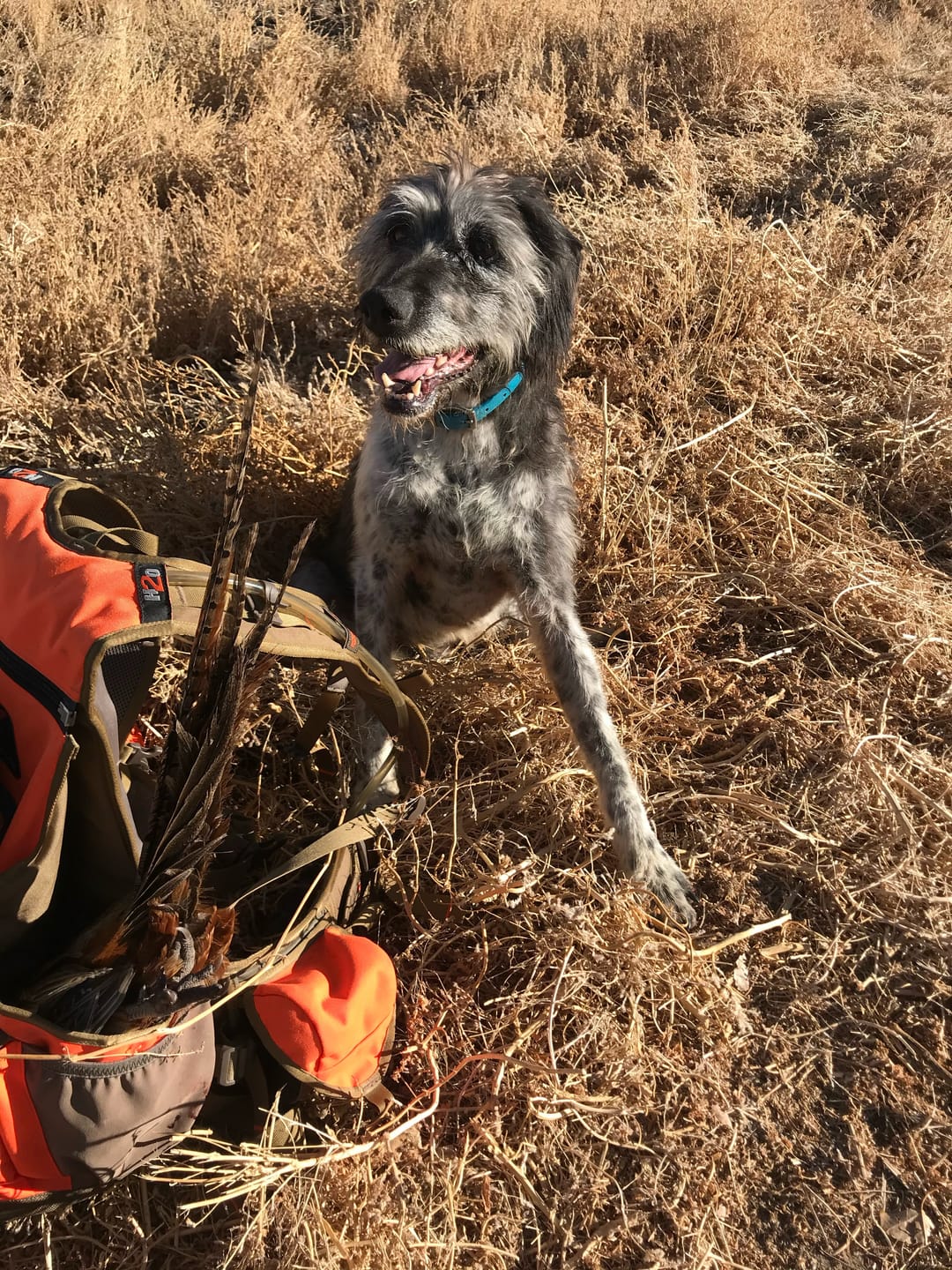 Customer photo review of TorridSeeker Heated Duck Waterfowl Hunting Neoprene Chest Waders