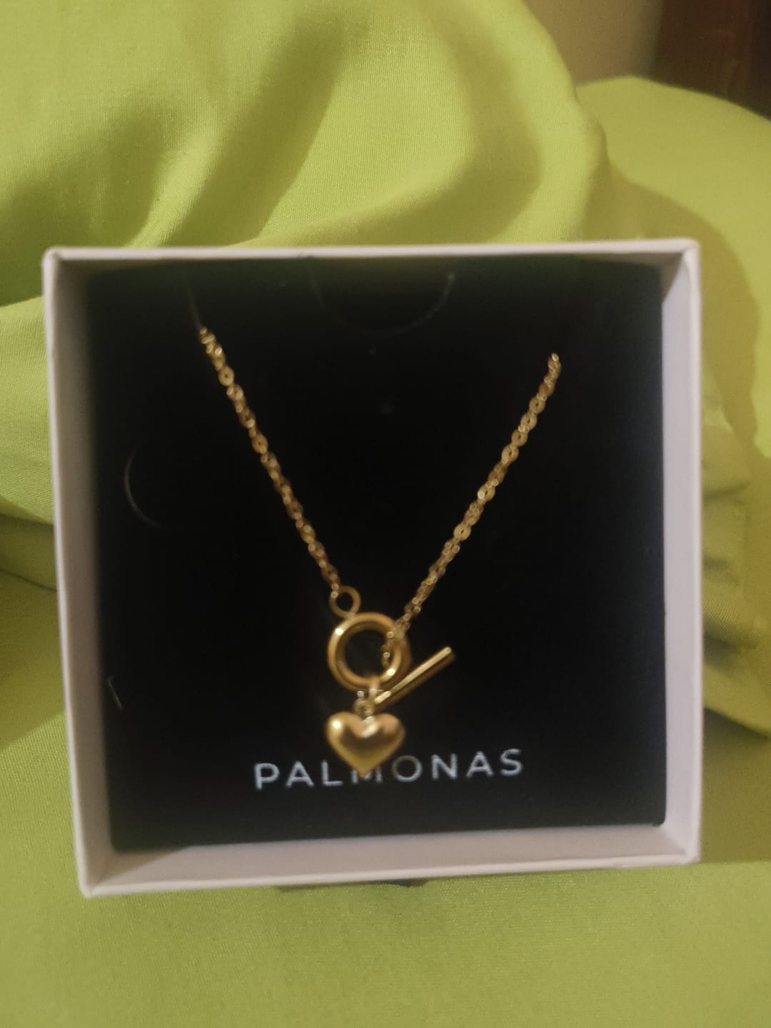 Customer photo review of Ridge Heart T-Bar Necklace
