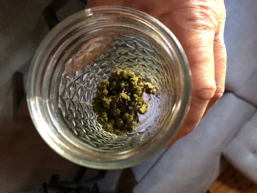 Customer photo review of FREE SAMPLE (with code) THCa Flower