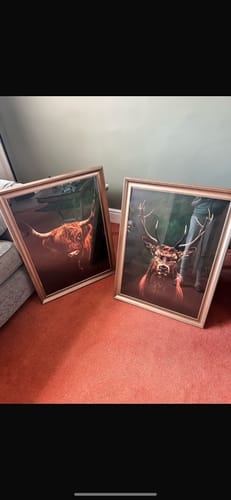 Customer photo review of Highlands Set of 2 Prints