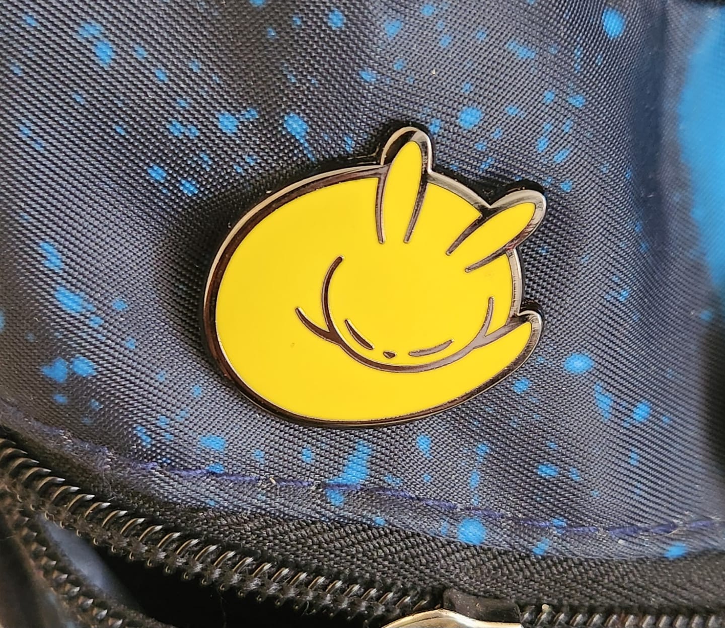 Customer photo review of Rain World - Slugcat Monk Pin