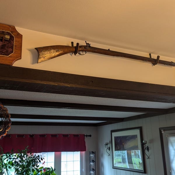 Customer photo review of Gun Hooks