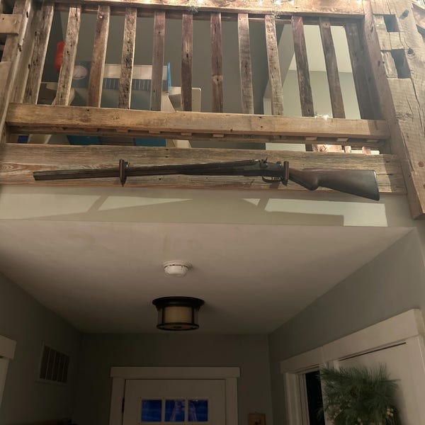 Customer photo review of Gun Hooks