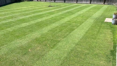 Customer photo review of N-Ext Humic12