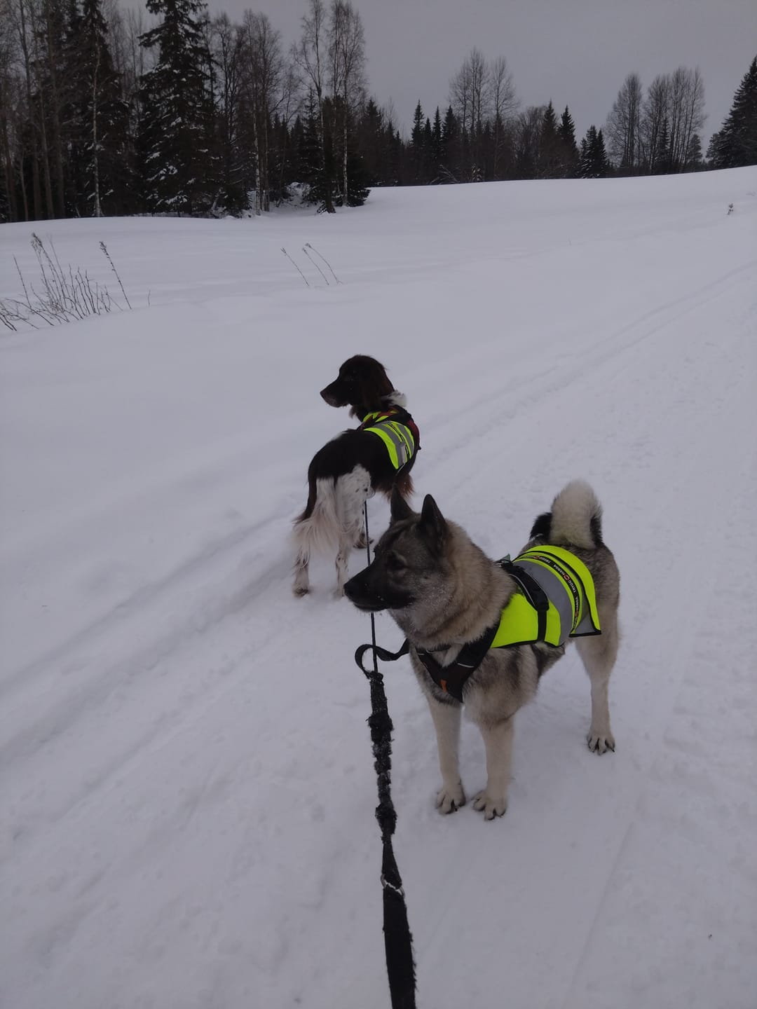 Customer photo review of Elektrisk Kloslip™ - Slipp klotång & rädsla