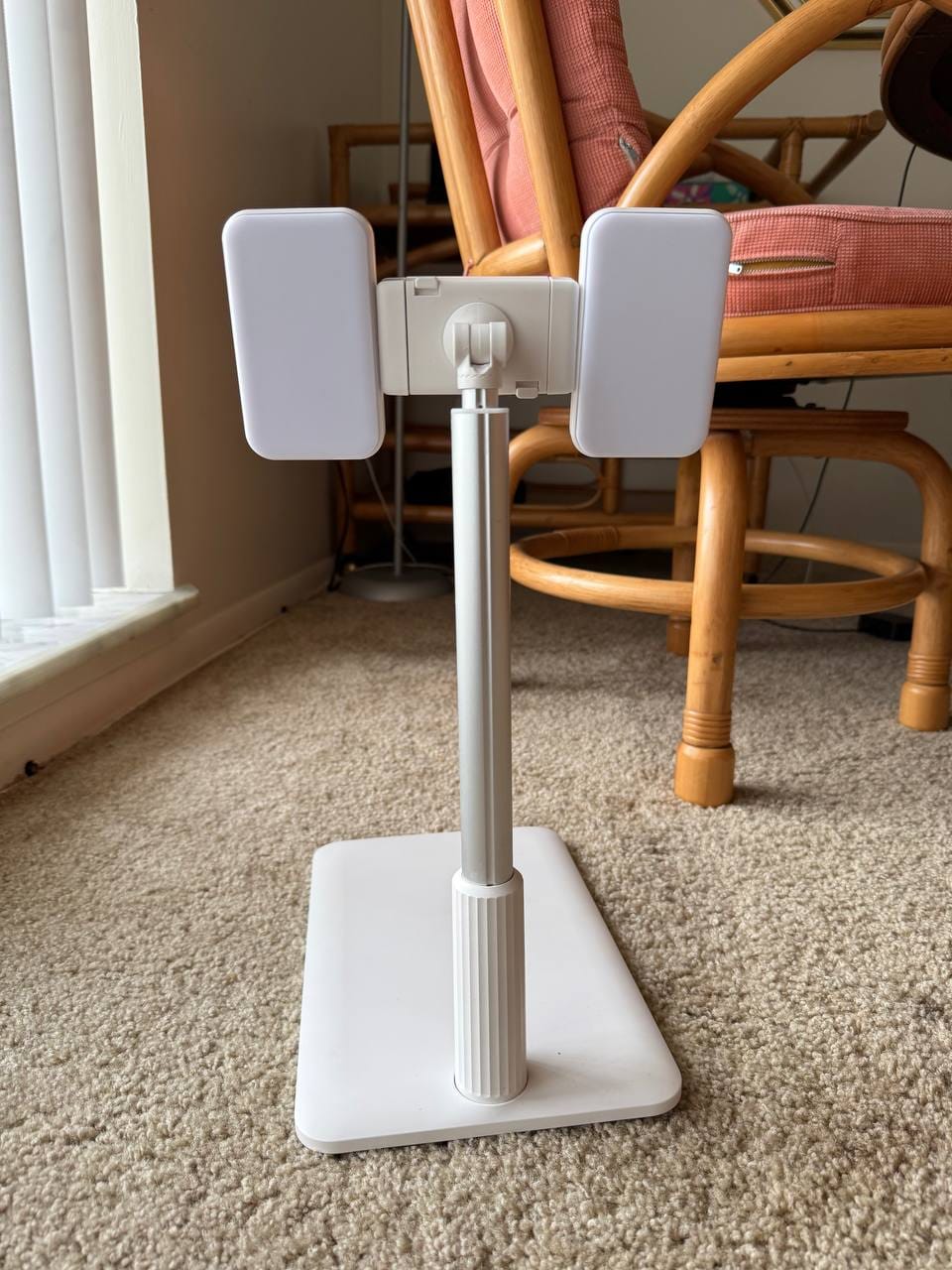 Customer photo review of FlexiStand®