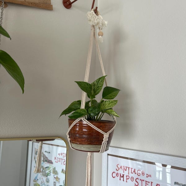 Customer photo review of Plant Hanger