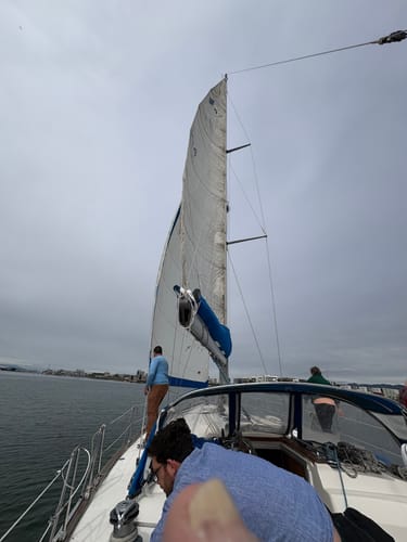 Customer photo review of Custom Digital Boat Name Logo Design