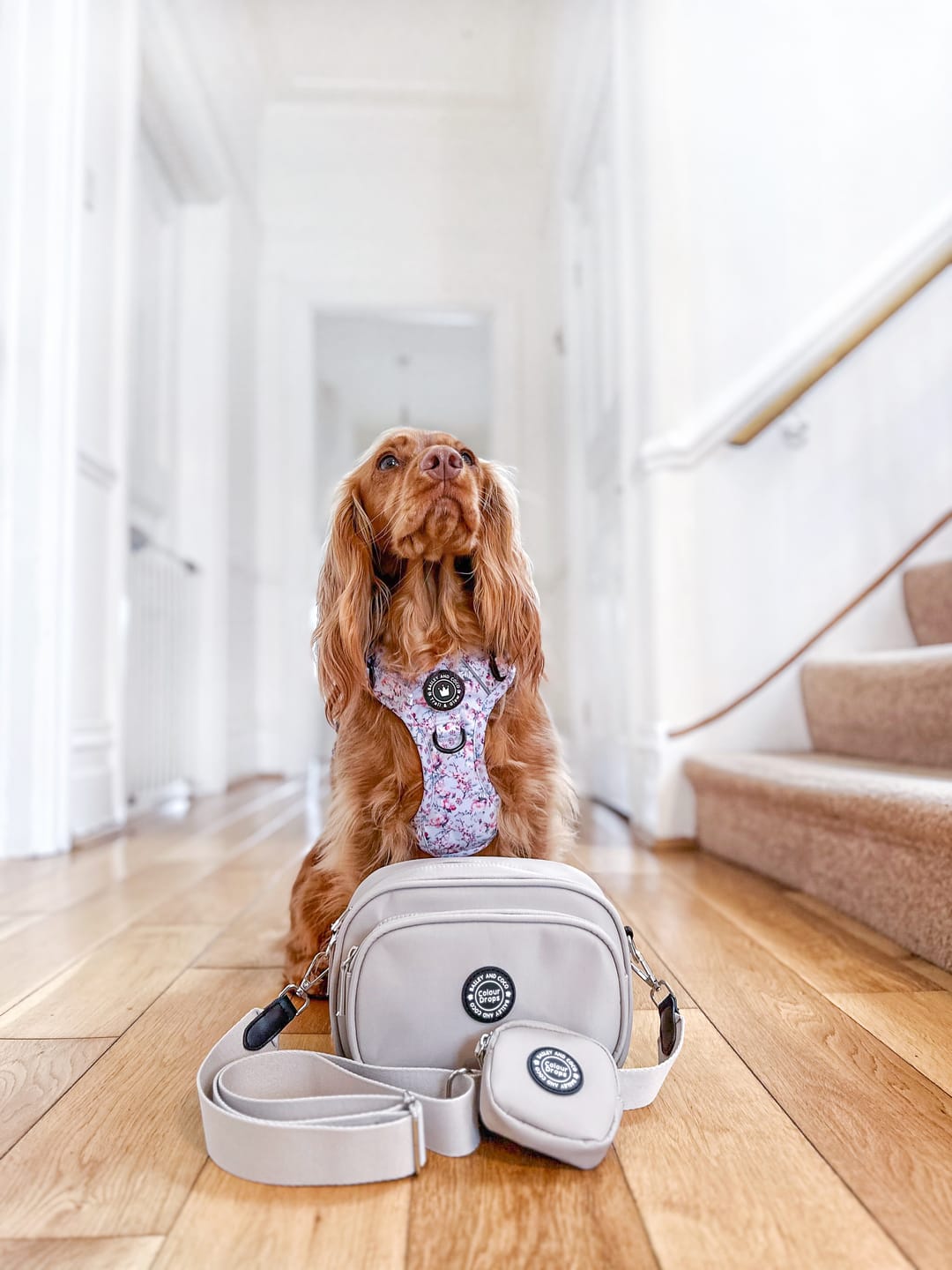 Customer photo review of Create Your Own Dog Walking Bag - Latte