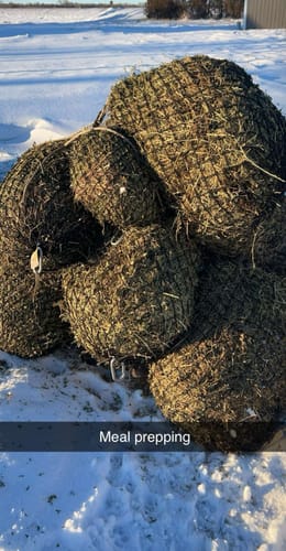 Customer photo review of 4 For $100 Deal