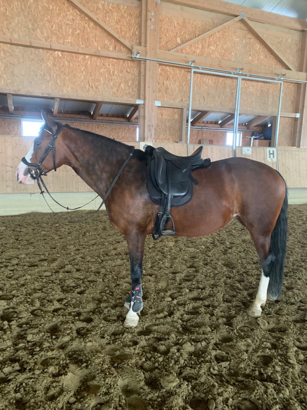 Customer photo review of Engel - Sadek1A Korrektur Aufpolster Satteldecke