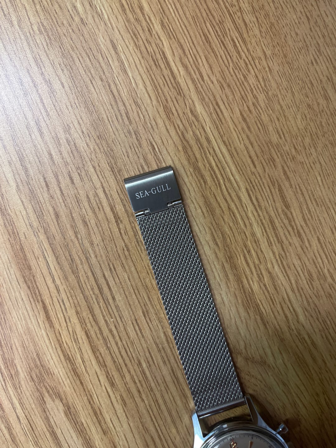 Customer photo review of Milan Mesh Strap | Original | With Tools | 18mm/20mm/22mm