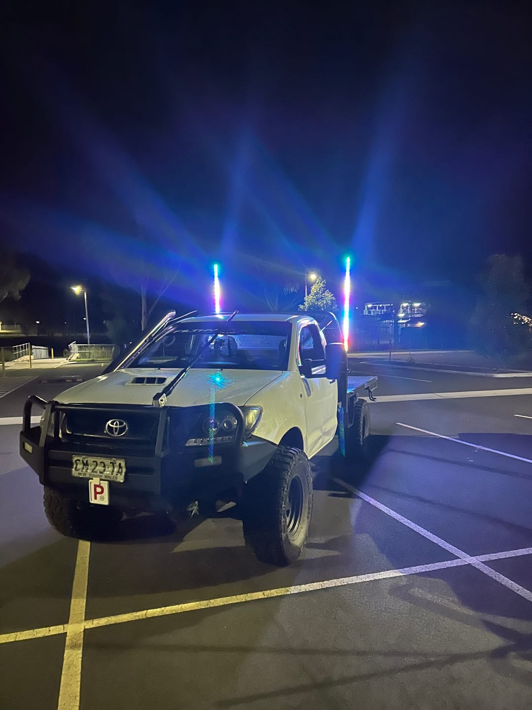 Customer photo review of 5ft LED Whip Lights