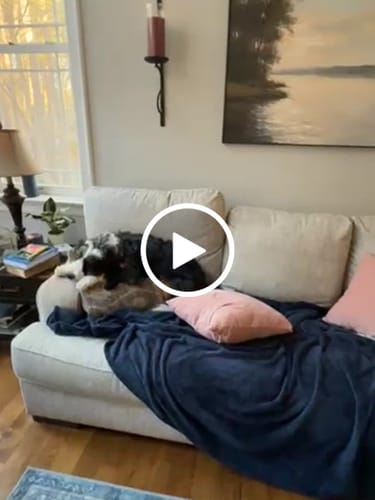 Customer video review of Modern Abstract Painting #ABLS40