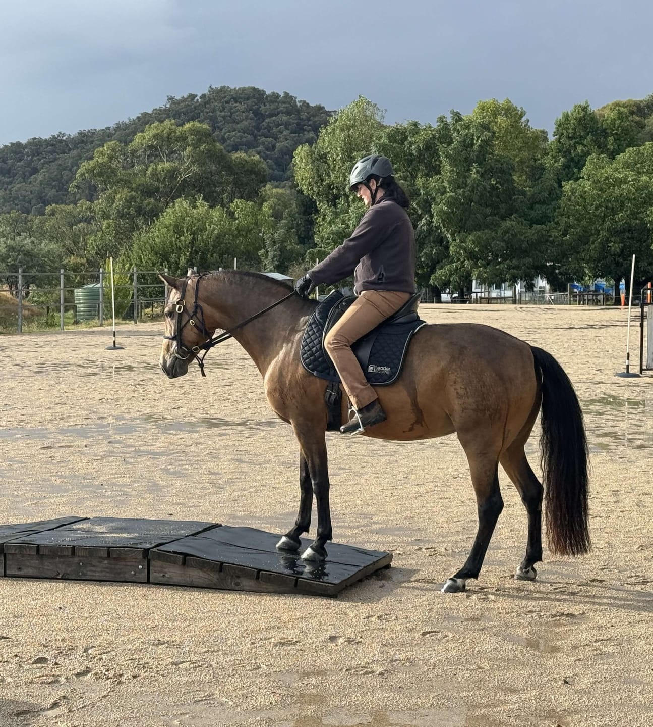 Customer photo review of LE Performance Dressage Saddle Pad with Shims