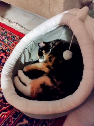 Customer photo review of Das Traumnest
