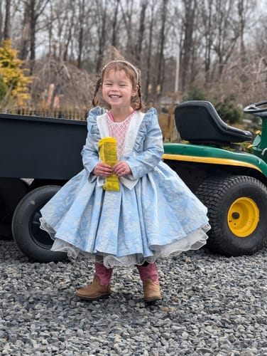 Customer photo review of Baby Girl Princess Dress Girl Blue Long Sleeve Bow Knot Fluffy Formal Dresses
