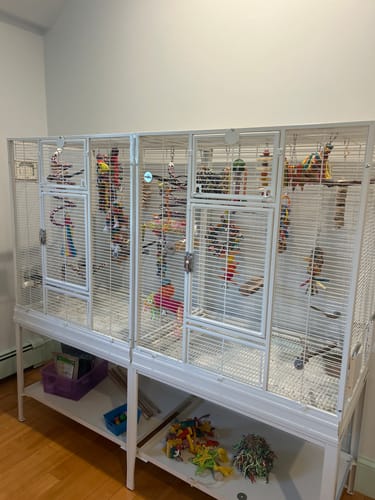 Customer photo review of Kings Cages SLF 6421 Bird Flight Cage 65X21X62