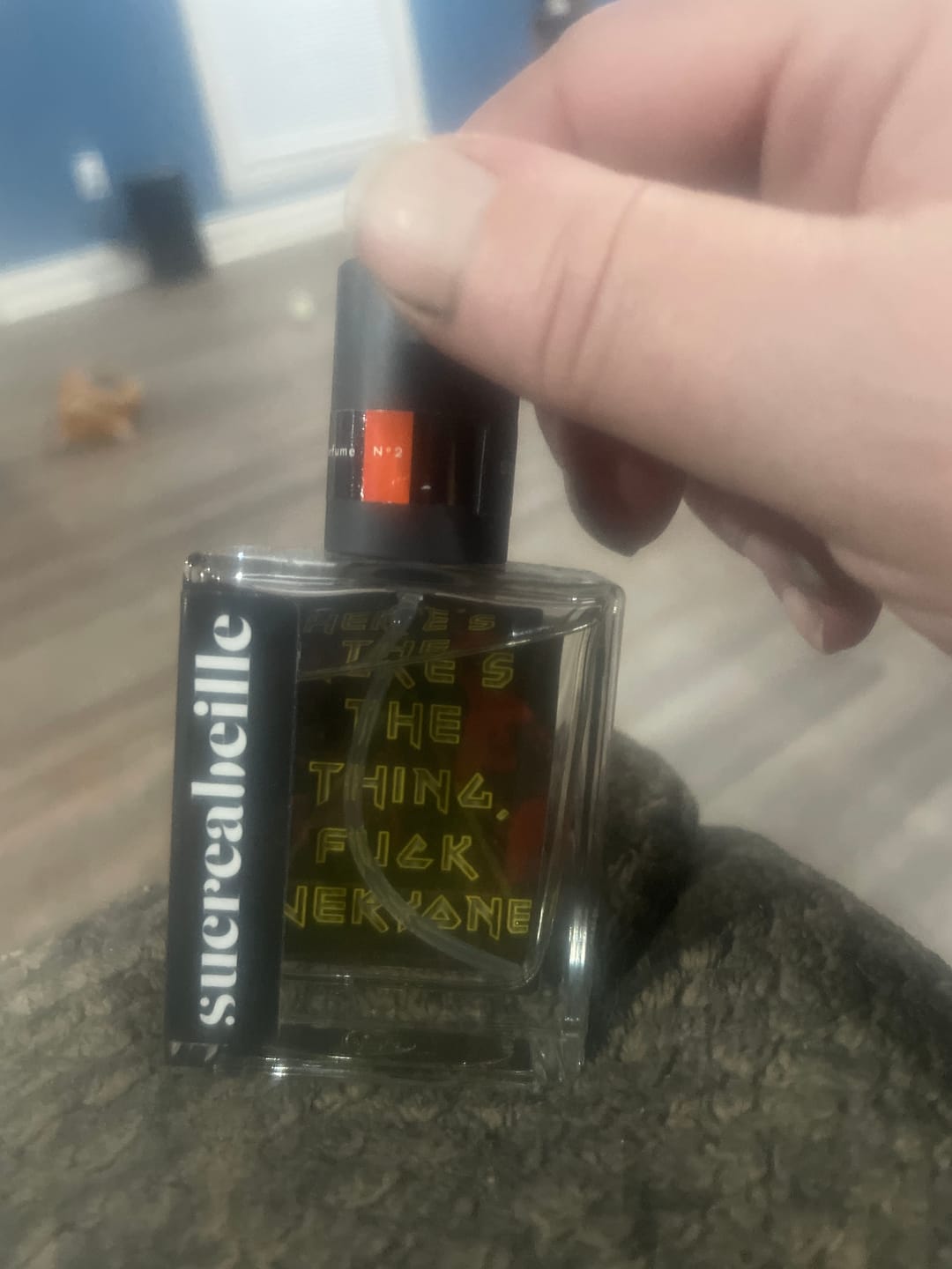 Customer photo review of Here's the Thing, Fuck Everyone